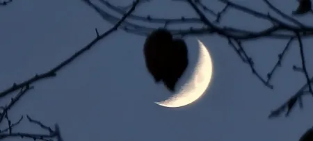 试管代怀生子助孕机构多少钱（月亮吟诗一首）古典诗词中吟诵月亮的诗句，